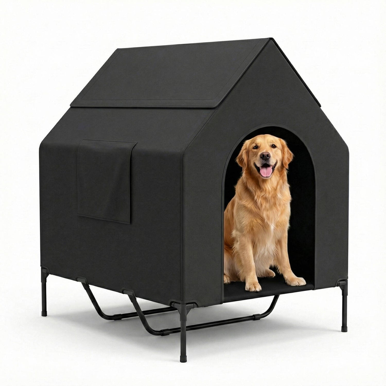Dog Home