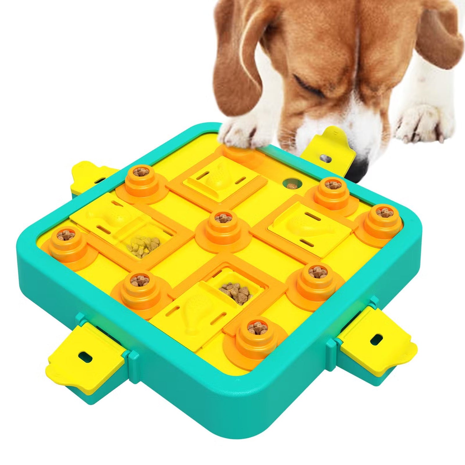 Dog Puzzle Toys