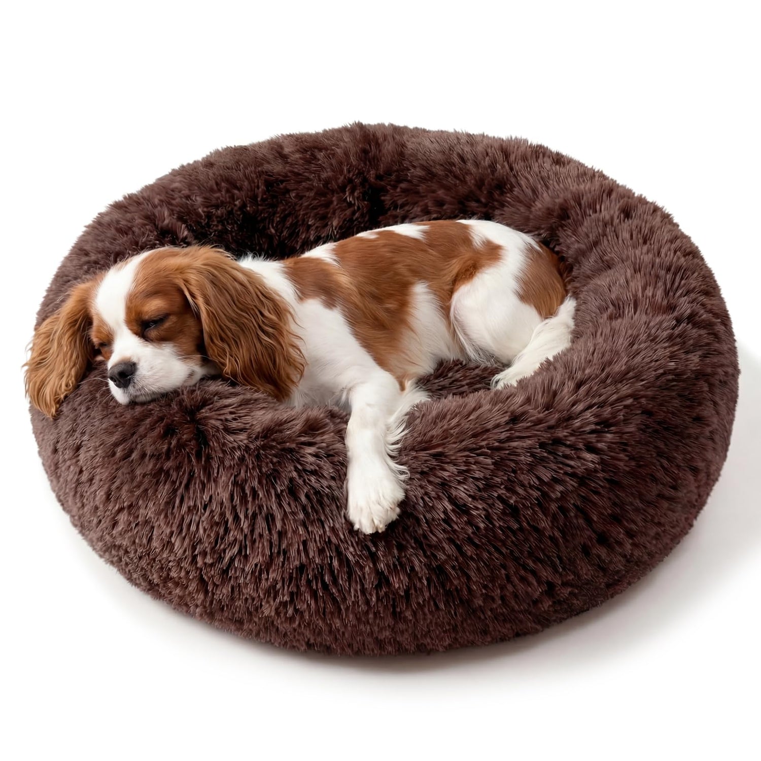 Donut & Calming Beds