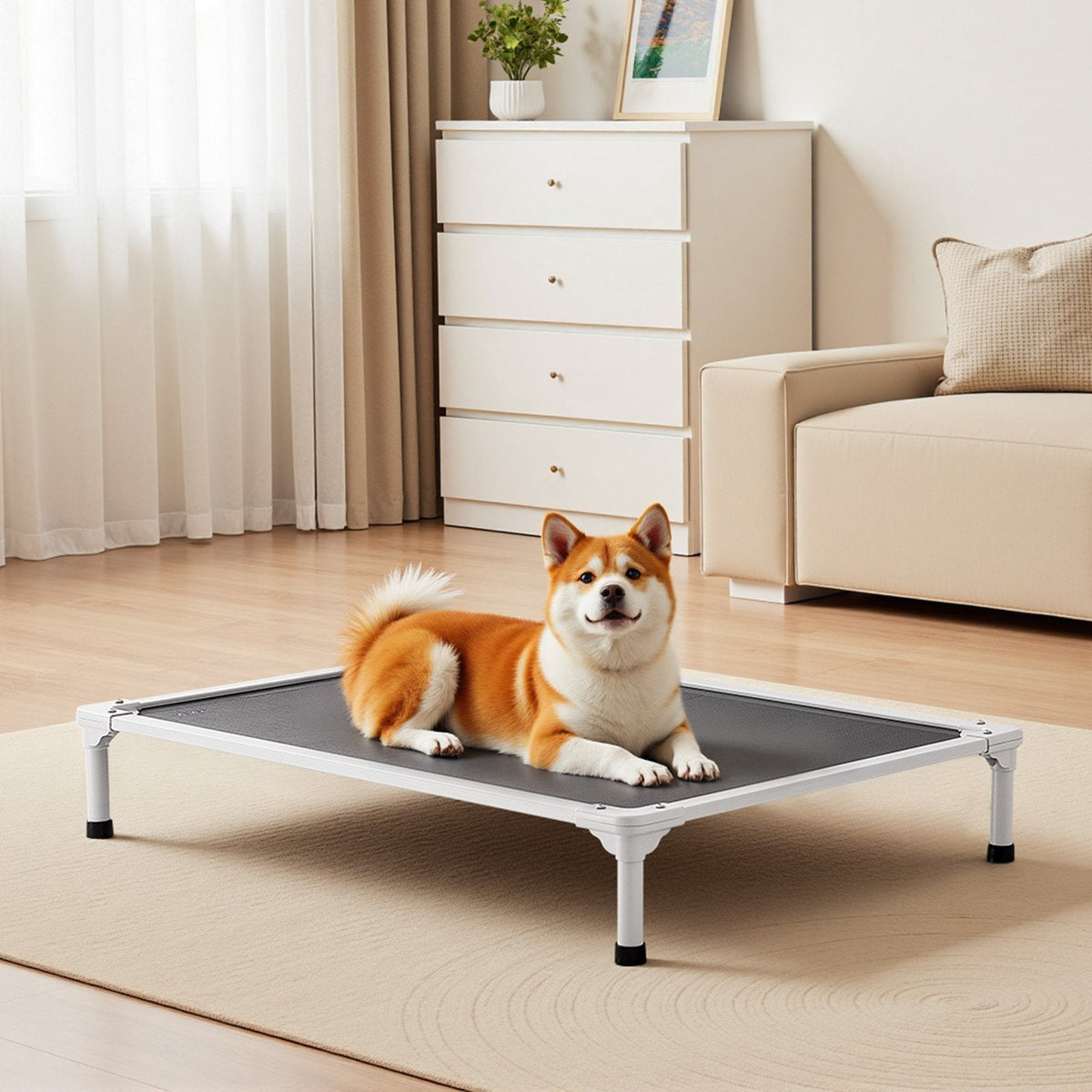 Elevated Pet Beds