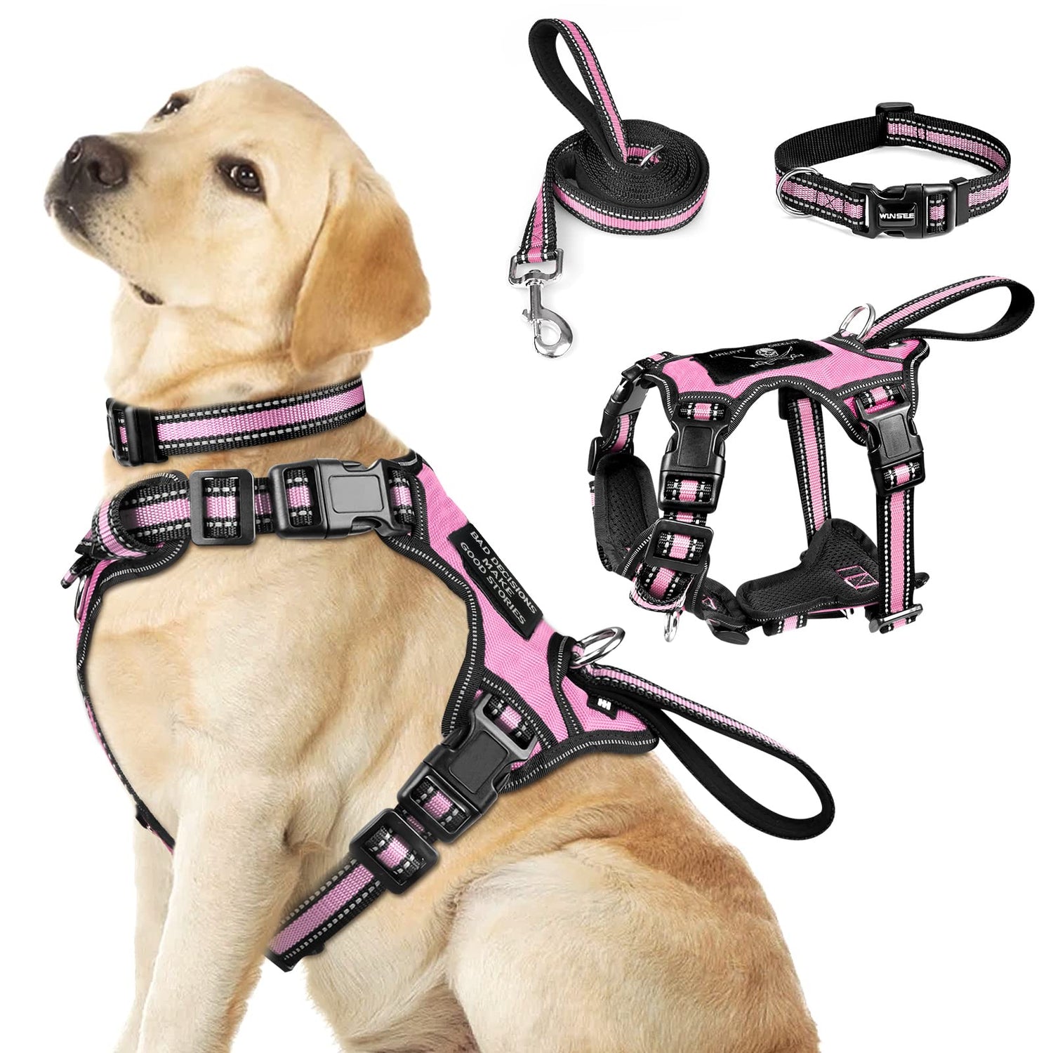 Harness and Leash Sets