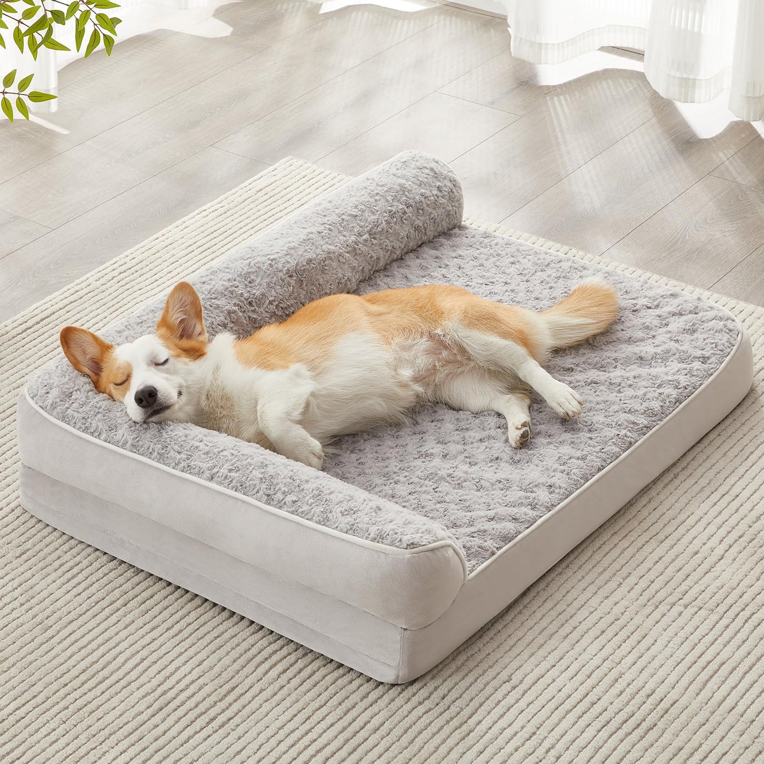 Orthopedic Pet Beds