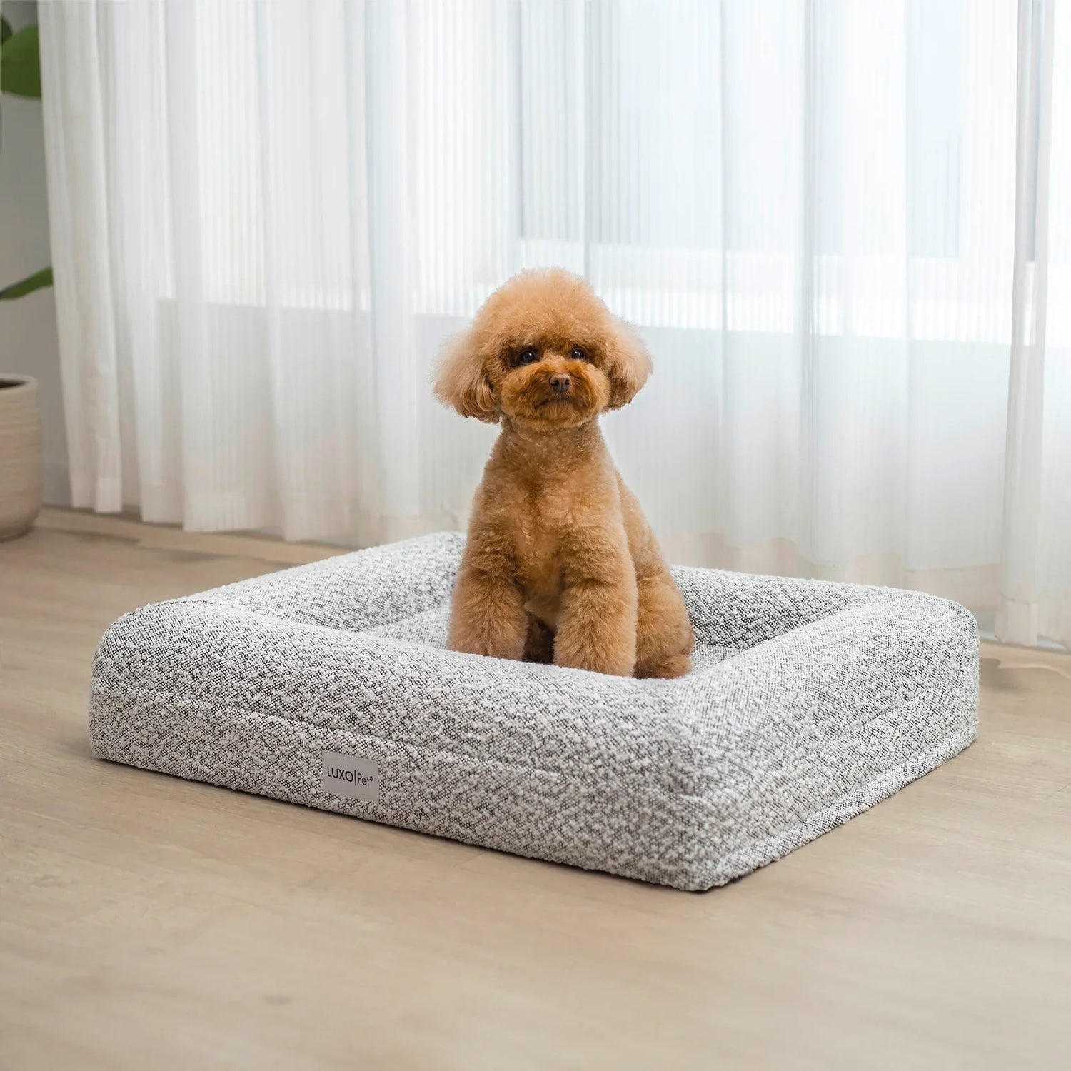 Orthopedic Pet Beds