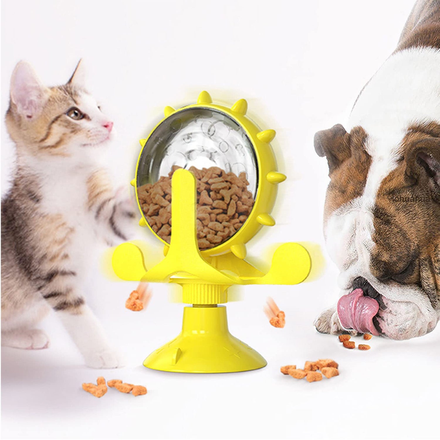 Pet Feeding Accessories