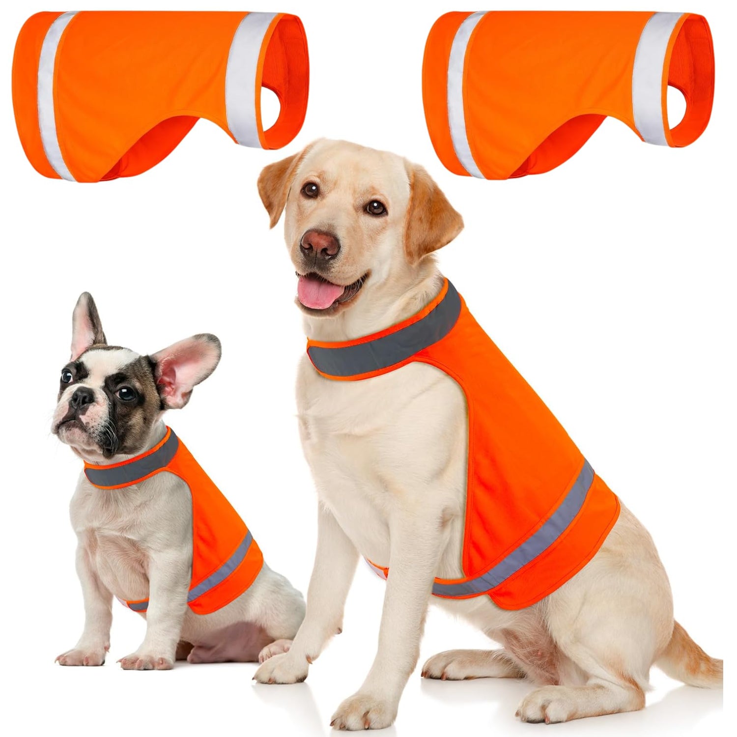 Safety Harnesses & Reflective Gea