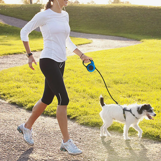 16.5FT Automatic Retractable Dog Leash Pet Automatic Walking Lead Free