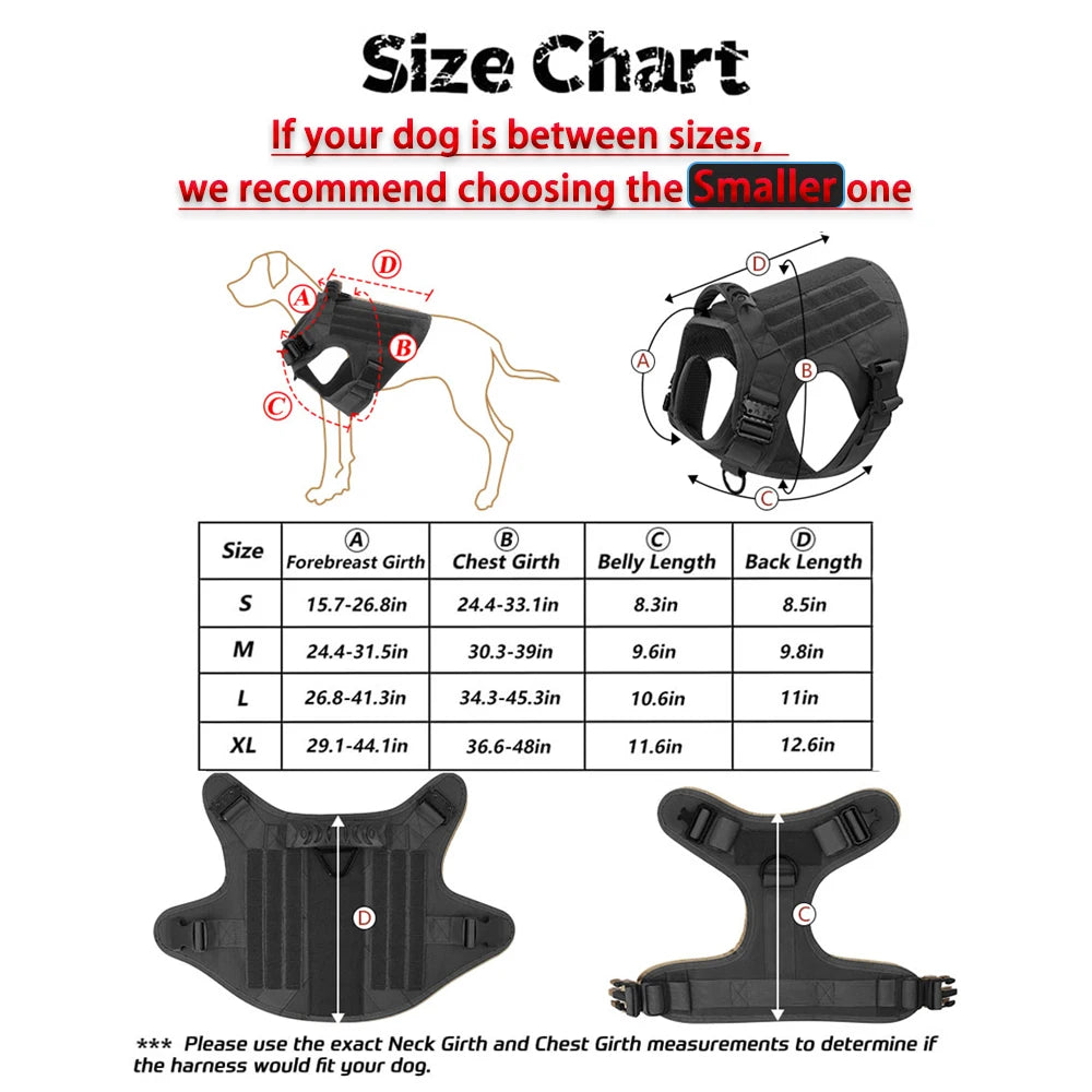 Support Harness Set — Comfortable Training Vest with Leash and Collar for Confident, Balanced Adventures.
