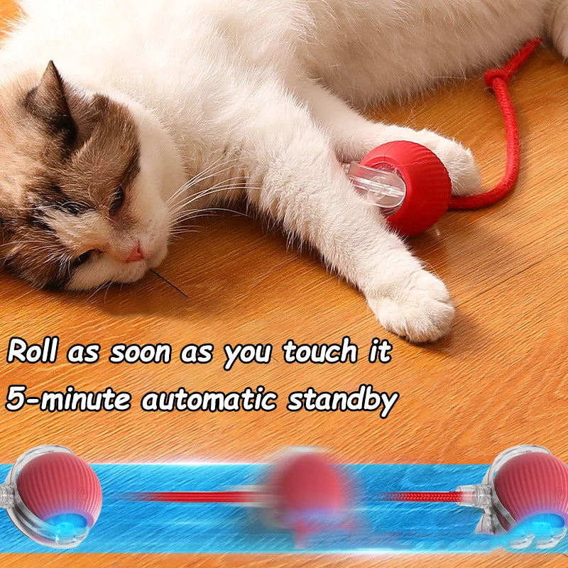 New Cat Interactive Ball Toy Automatic Rolling Ball Faux Tail Rechargeable Smart Pet Electric Toy