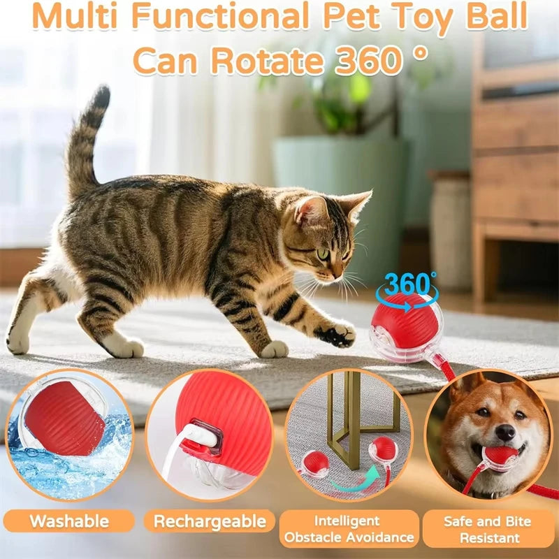 New Cat Interactive Ball Toy Automatic Rolling Ball Faux Tail Rechargeable Smart Pet Electric Toy