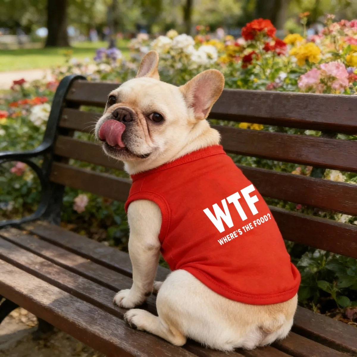 'Where's the Food' 
Introducing Our Exclusive Dog Tank Top, featuring a Playful 'Where's the Food' Back Print