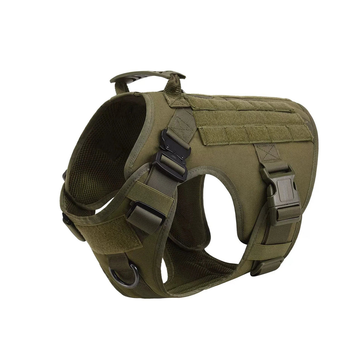 Support Harness Set — Comfortable Training Vest with Leash and Collar for Confident, Balanced Adventures.