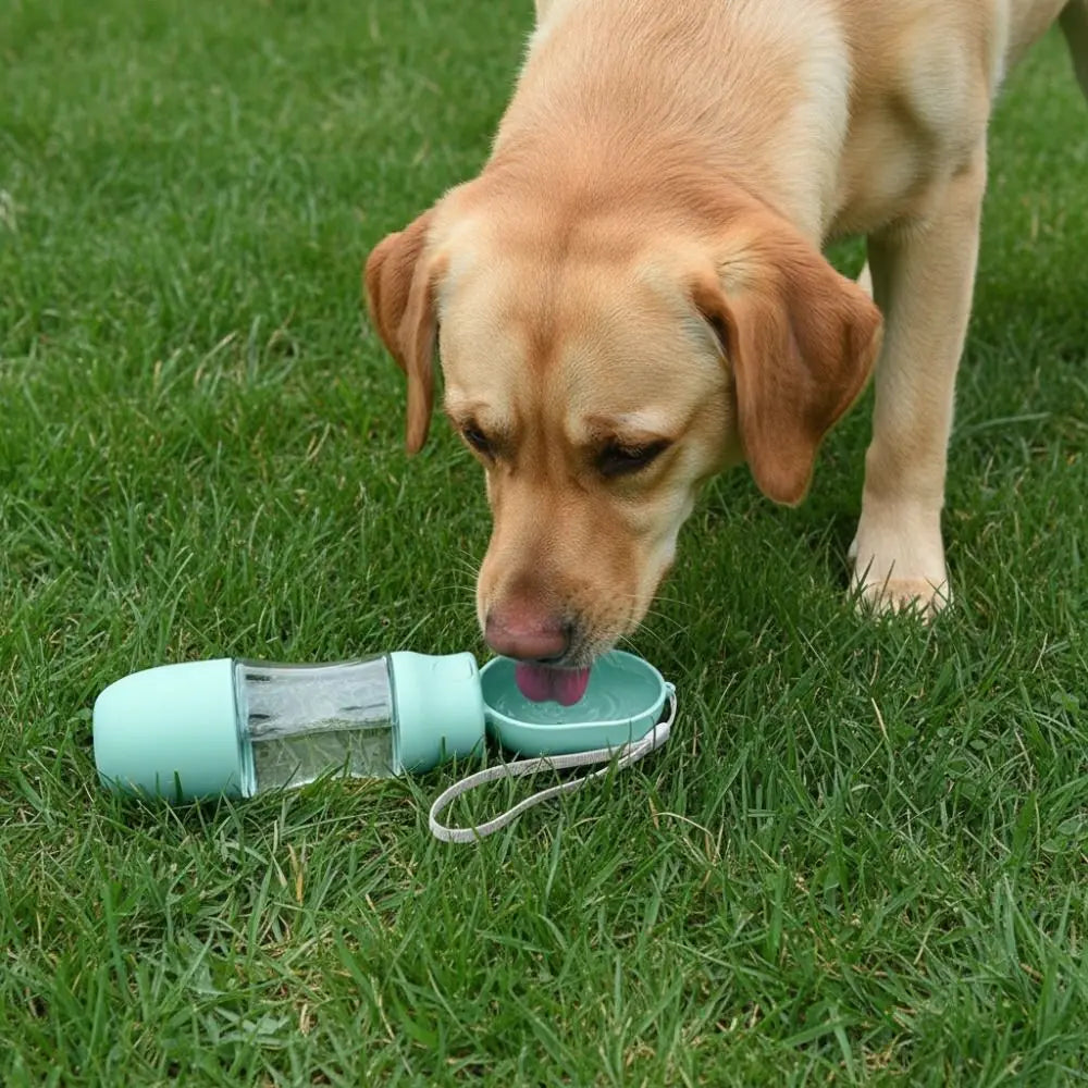Leak-proof Outdoor Dog Water Bottle Sealed with Filter Water Dispenser Button Press Design to fill reservoir, other model hidden treat stash container.