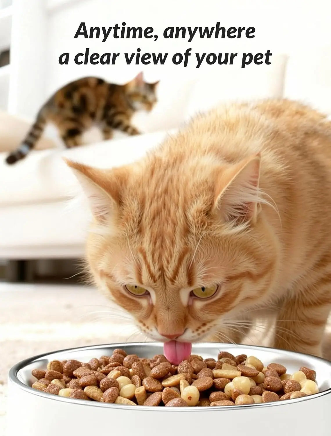 5L WiFi Smart Timed Pet Feeder with Built-in Camera 2 Way Audio APP Remote Feeding Desiccant Fresh Storage Cats Dogs