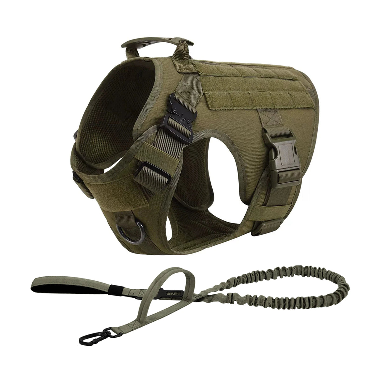 Support Harness Set — Comfortable Training Vest with Leash and Collar for Confident, Balanced Adventures.
