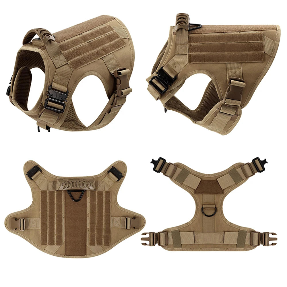 Support Harness Set — Comfortable Training Vest with Leash and Collar for Confident, Balanced Adventures.
