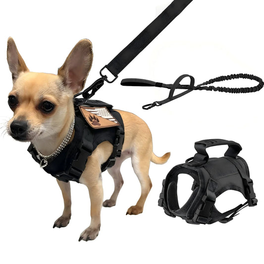 Tactical Puppy Harness Leash Set For Small Dogs Adjustable Cat Harnesses Vest For Training Walking Military Cats Dog Accessories